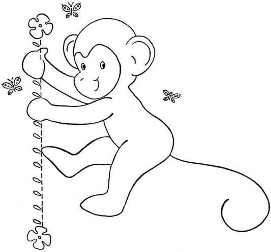 Hướng dẫn cách vẽ CON KHỈ  Tô màu con Khỉ  How to draw A Monkey  YouTube